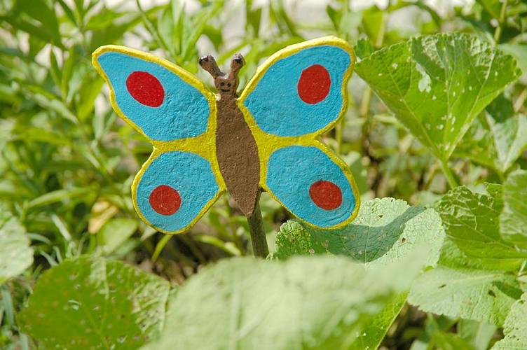 Schmetterling in Bauerngarten