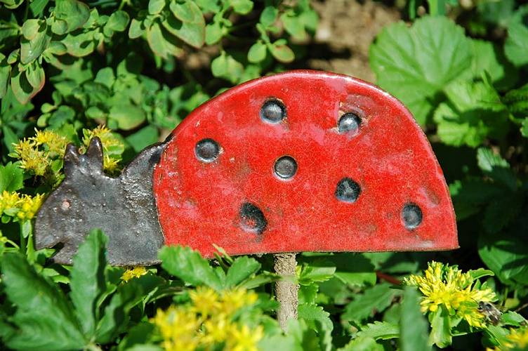 K�fer f�r Blumenbeet