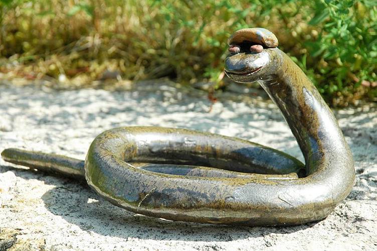 braun glasierte Gartenschlange