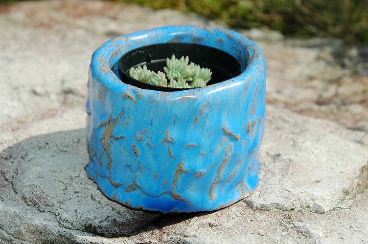 kleiner �bertopf f�r Anzucht