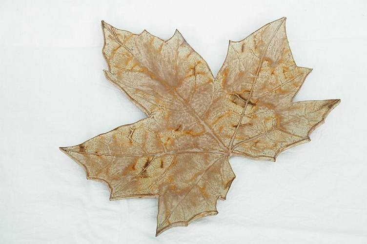 Blatt braun glasiert